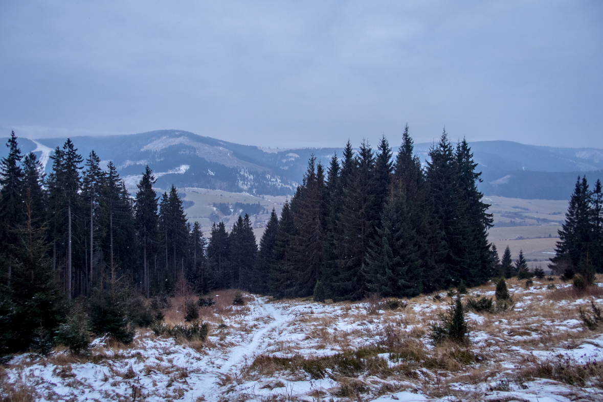 Kráľova hoľa cez Kráľovu skalu (Nízke Tatry)