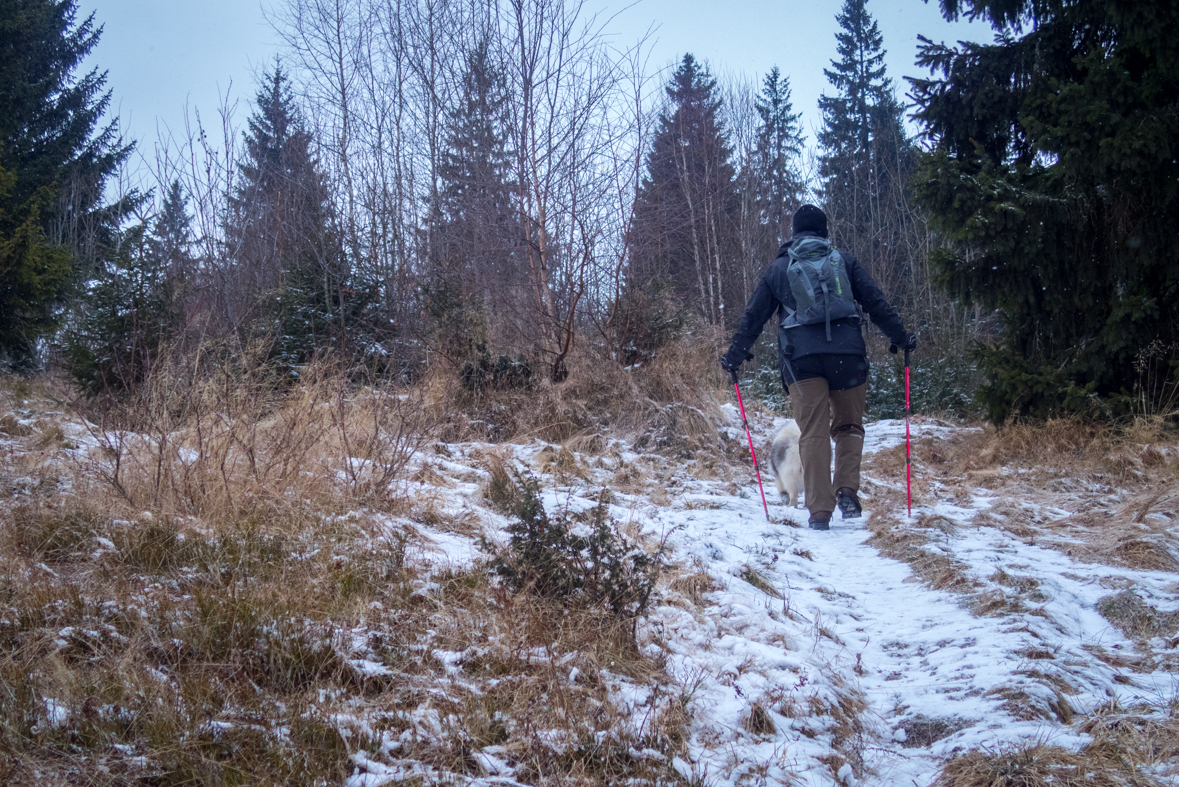 Kráľova hoľa cez Kráľovu skalu (Nízke Tatry)