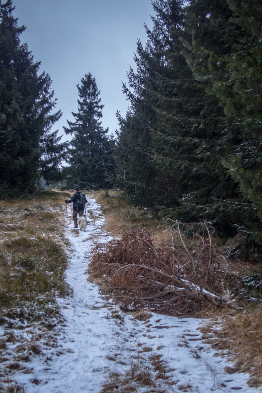 Kráľova hoľa cez Kráľovu skalu (Nízke Tatry)