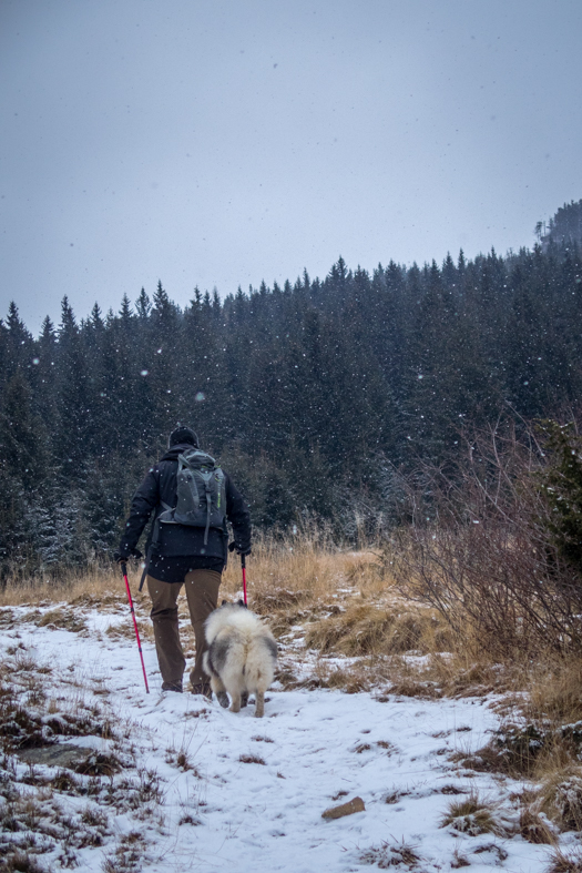 Kráľova hoľa cez Kráľovu skalu (Nízke Tatry)