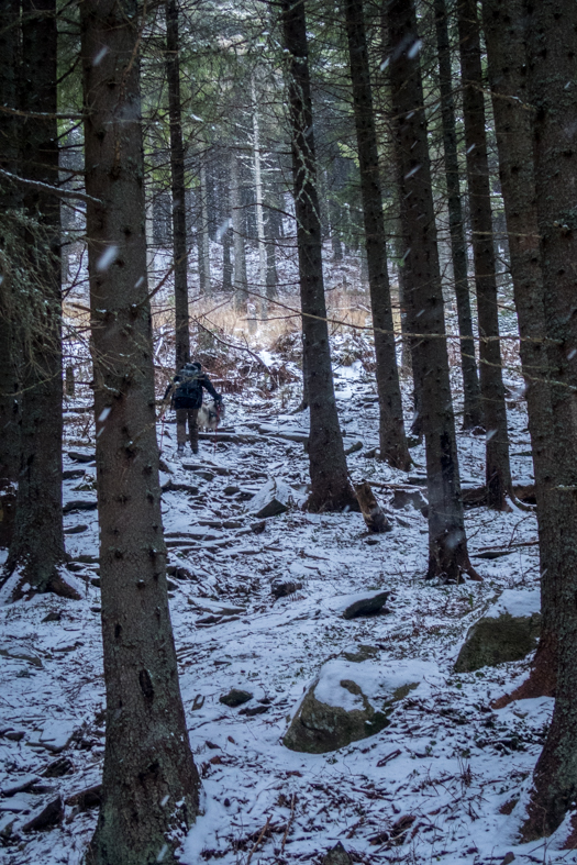 Kráľova hoľa cez Kráľovu skalu (Nízke Tatry)