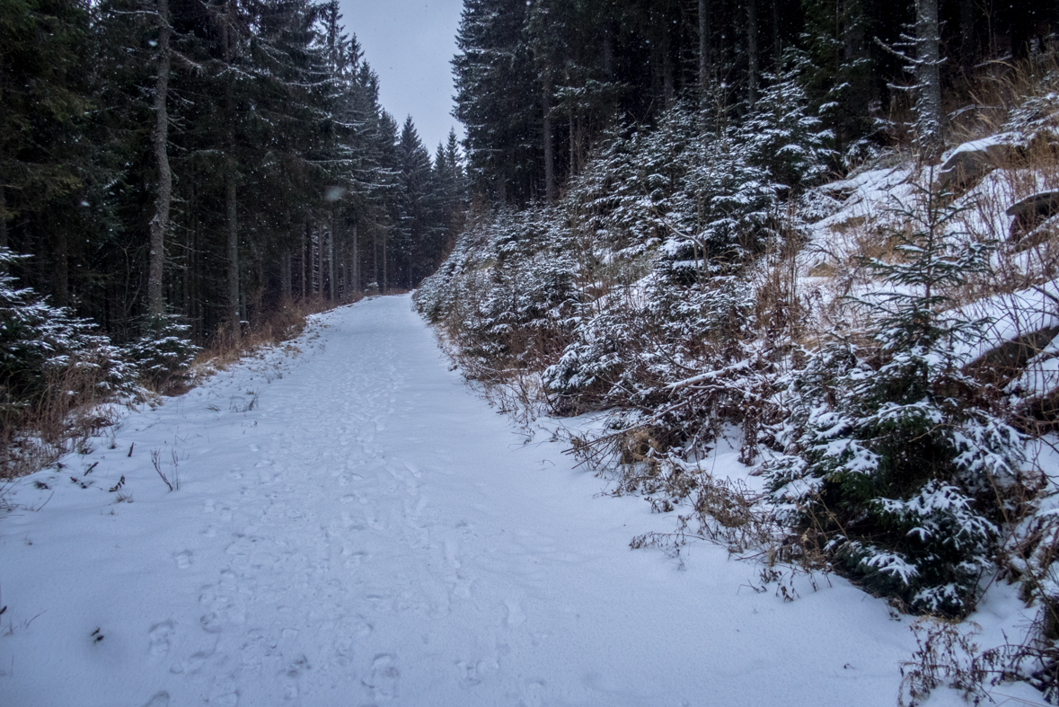 Kráľova hoľa cez Kráľovu skalu (Nízke Tatry)