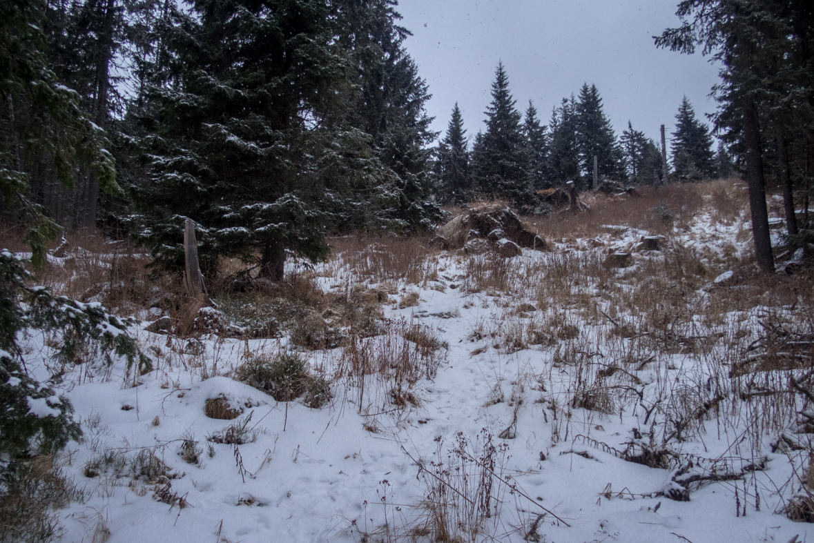 Kráľova hoľa cez Kráľovu skalu (Nízke Tatry)