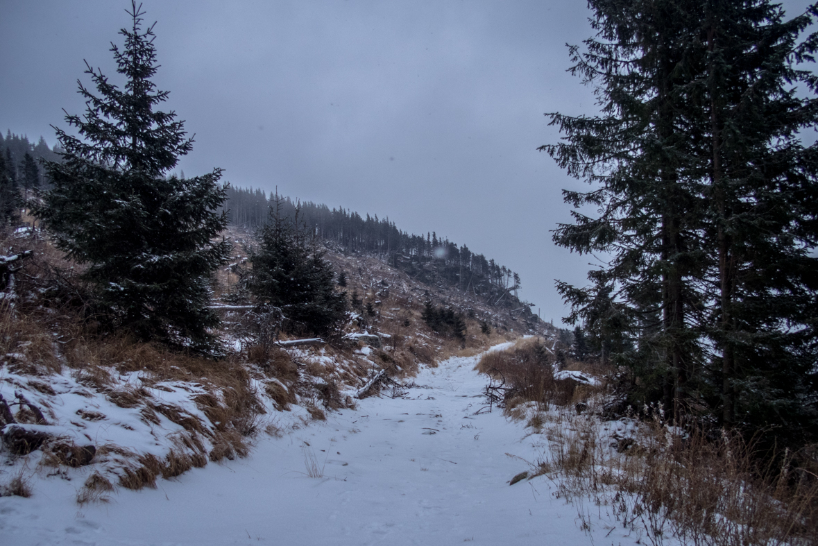 Kráľova hoľa cez Kráľovu skalu (Nízke Tatry)