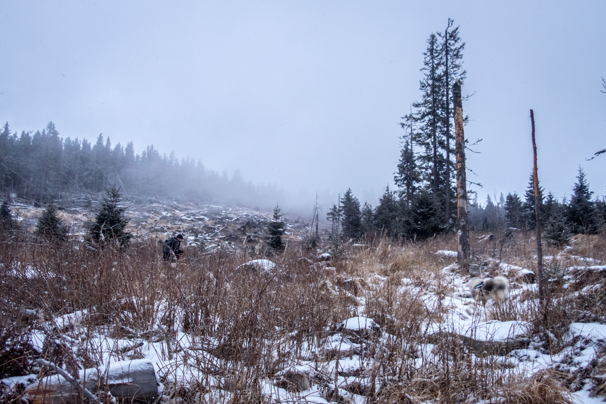 Kráľova hoľa cez Kráľovu skalu (Nízke Tatry)