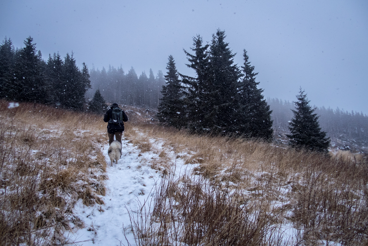 Kráľova hoľa cez Kráľovu skalu (Nízke Tatry)