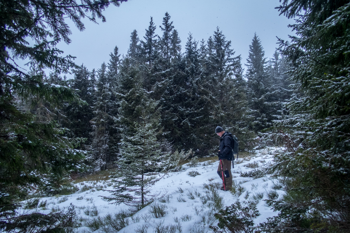 Kráľova hoľa cez Kráľovu skalu (Nízke Tatry)