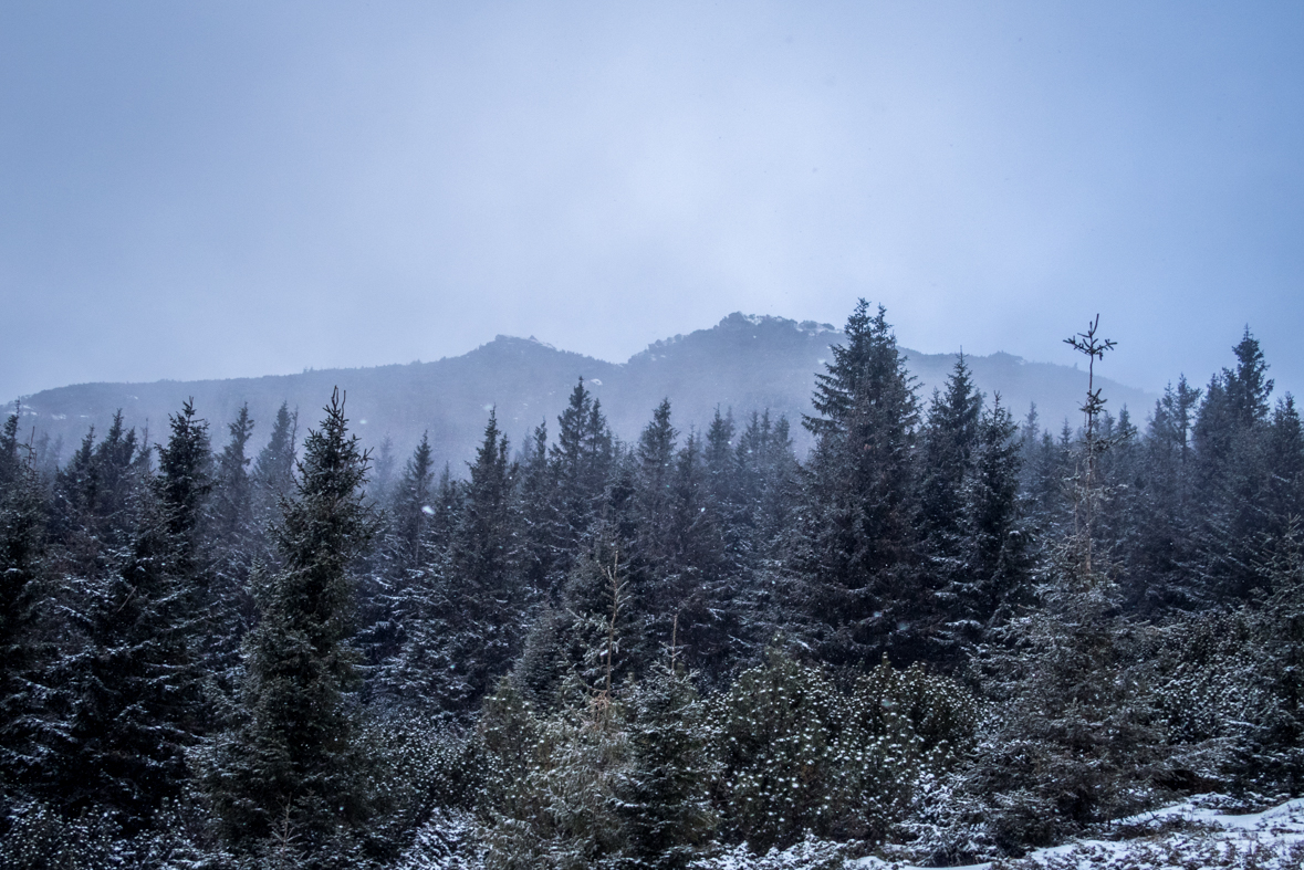 Kráľova hoľa cez Kráľovu skalu (Nízke Tatry)