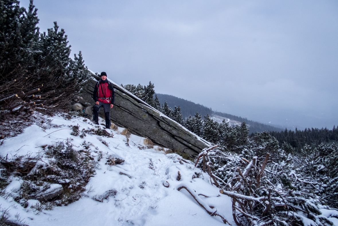 Kráľova hoľa cez Kráľovu skalu (Nízke Tatry)