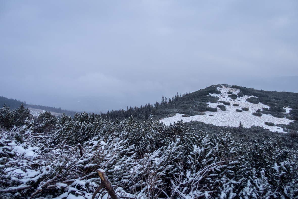 Kráľova hoľa cez Kráľovu skalu (Nízke Tatry)