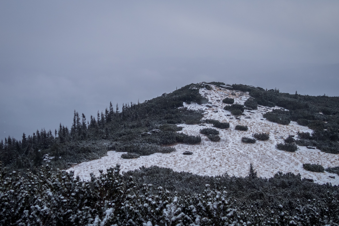 Kráľova hoľa cez Kráľovu skalu (Nízke Tatry)