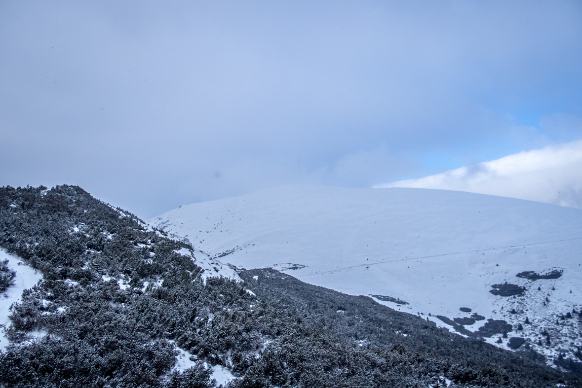 Kráľova hoľa cez Kráľovu skalu (Nízke Tatry)