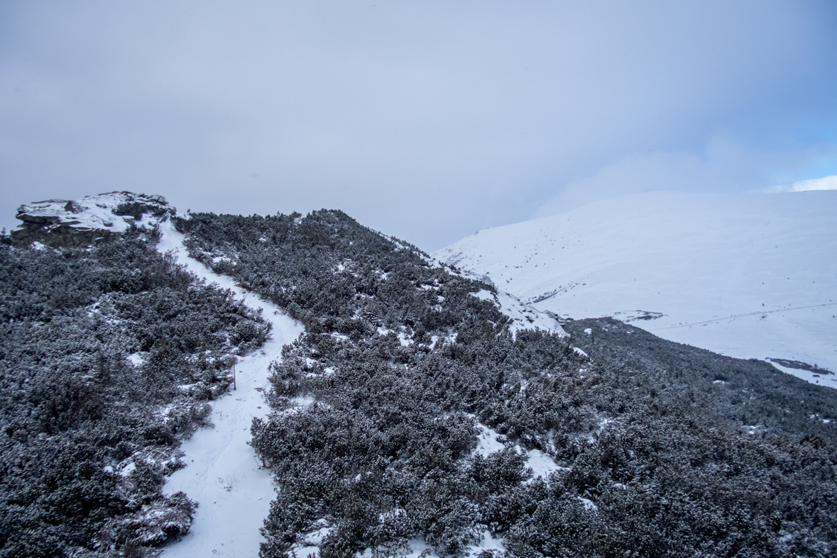 Kráľova hoľa cez Kráľovu skalu (Nízke Tatry)