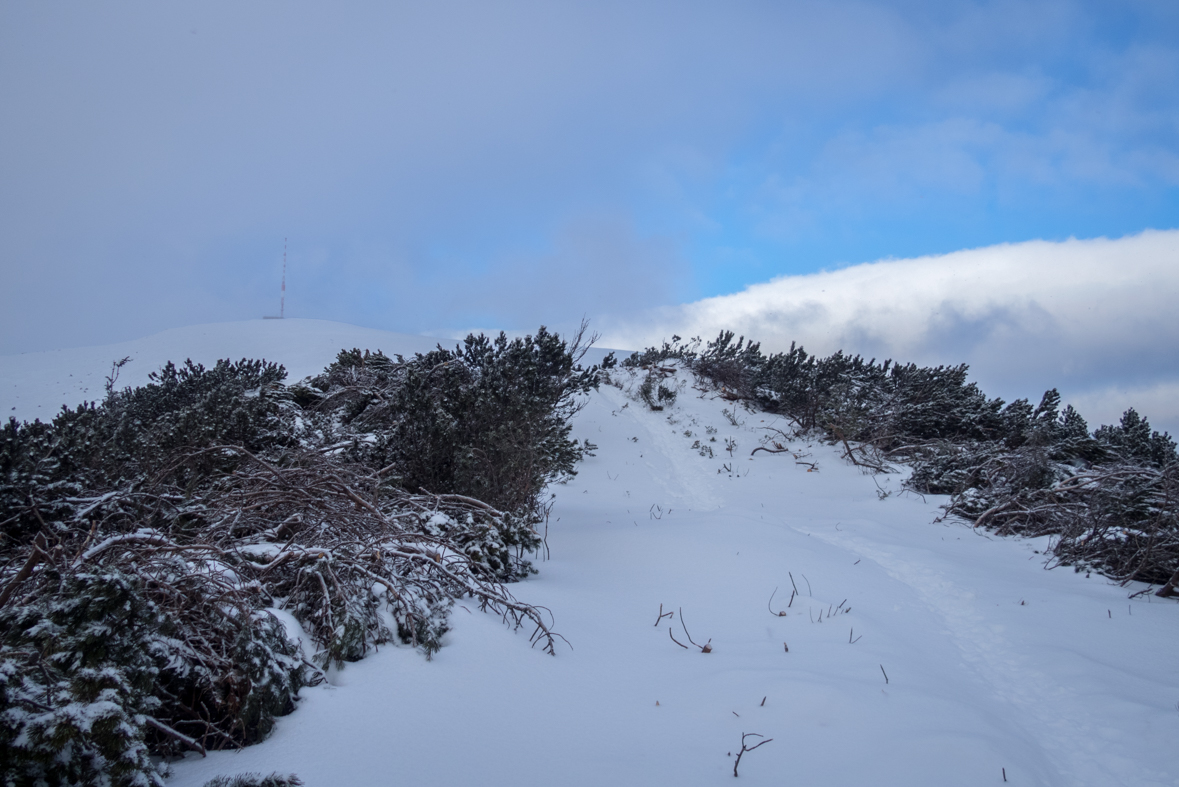 Kráľova hoľa cez Kráľovu skalu (Nízke Tatry)