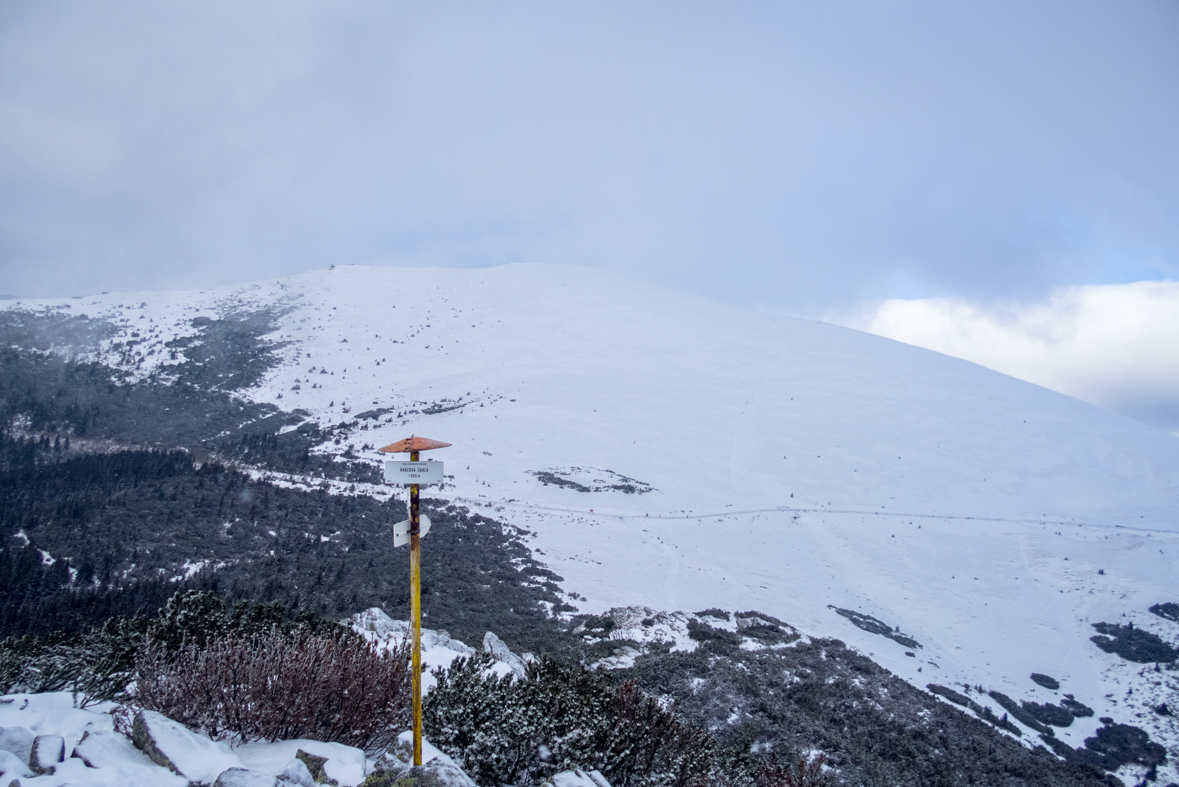 Kráľova hoľa cez Kráľovu skalu (Nízke Tatry)