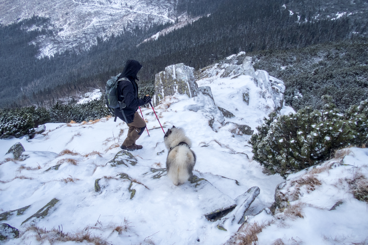 Kráľova hoľa cez Kráľovu skalu (Nízke Tatry)