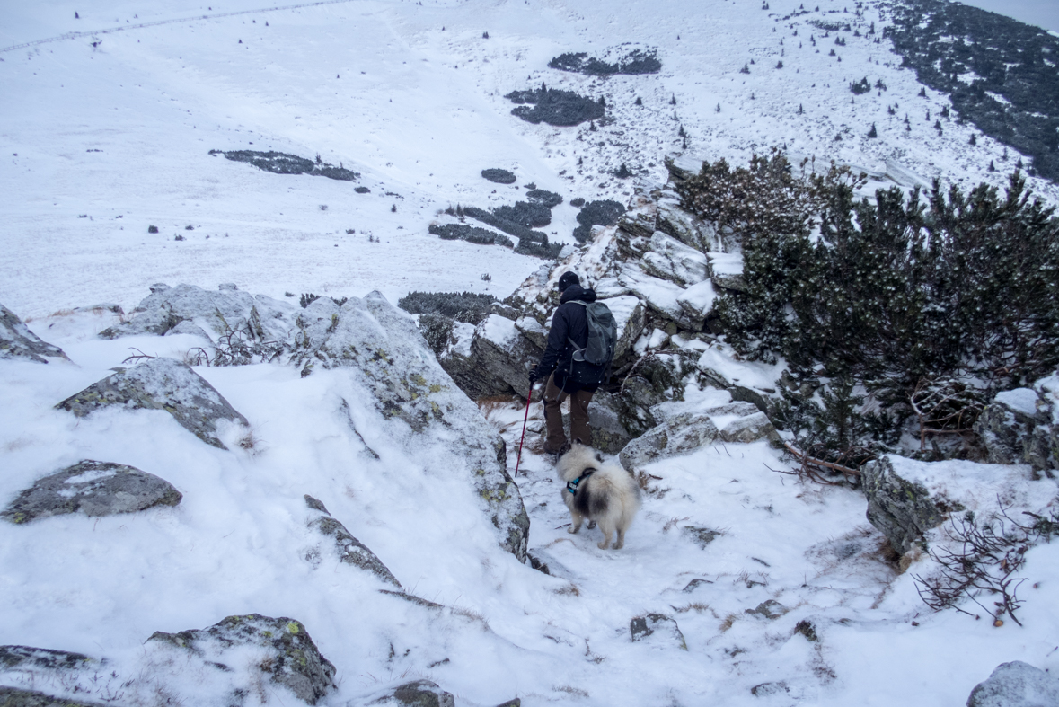 Kráľova hoľa cez Kráľovu skalu (Nízke Tatry)