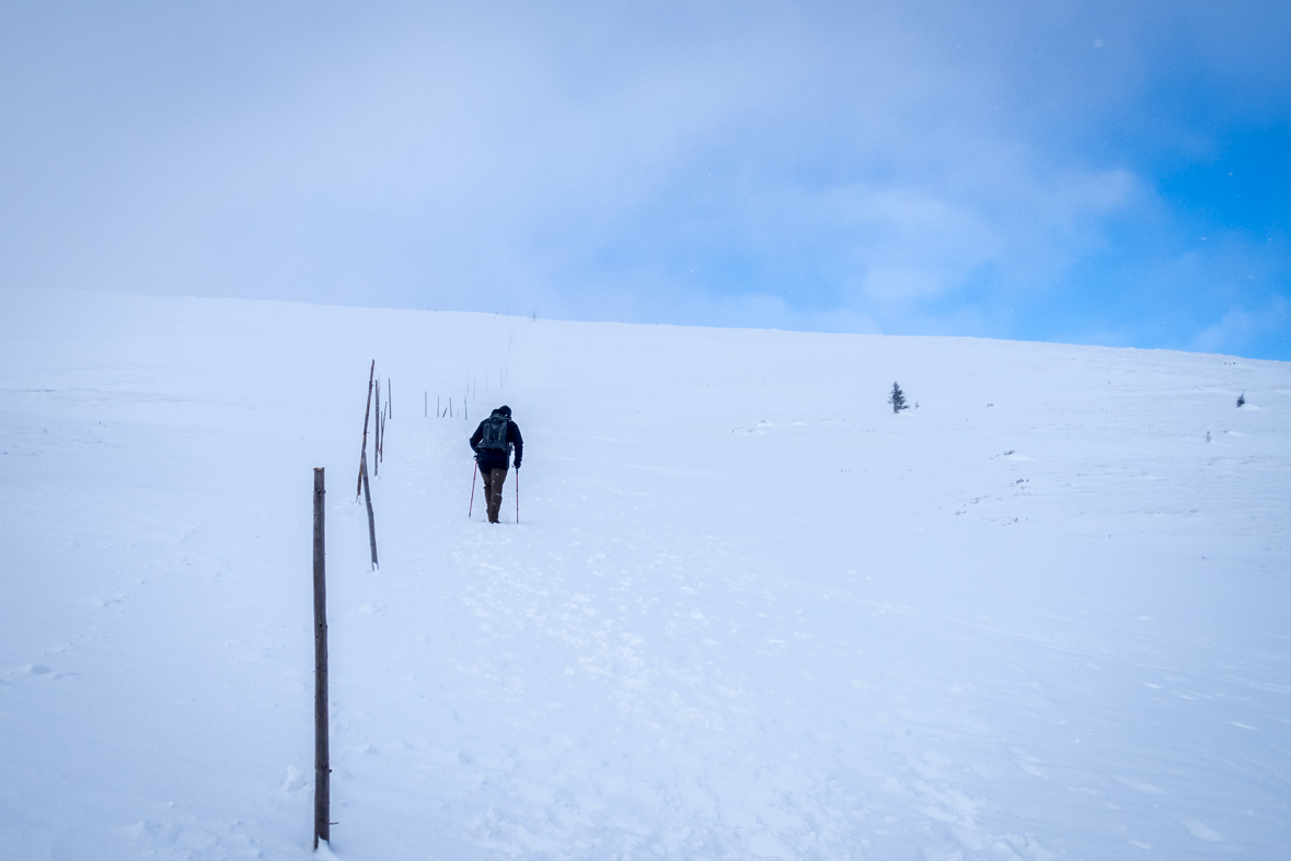 Kráľova hoľa cez Kráľovu skalu (Nízke Tatry)