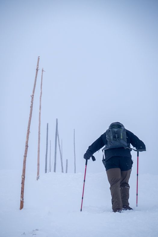 Kráľova hoľa cez Kráľovu skalu (Nízke Tatry)