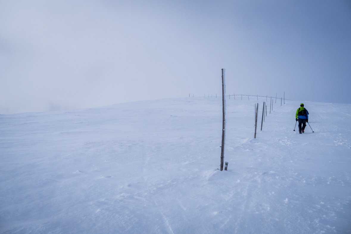 Kráľova hoľa cez Kráľovu skalu (Nízke Tatry)