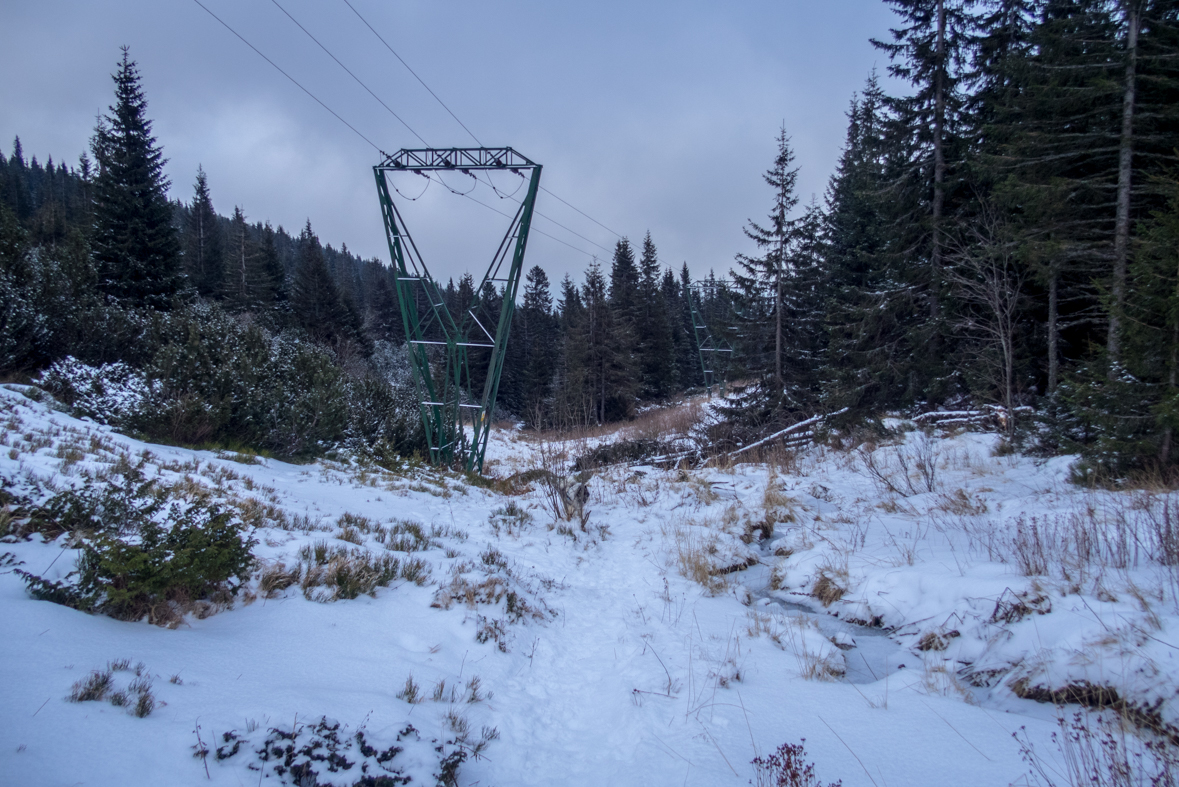 Kráľova hoľa cez Kráľovu skalu (Nízke Tatry)