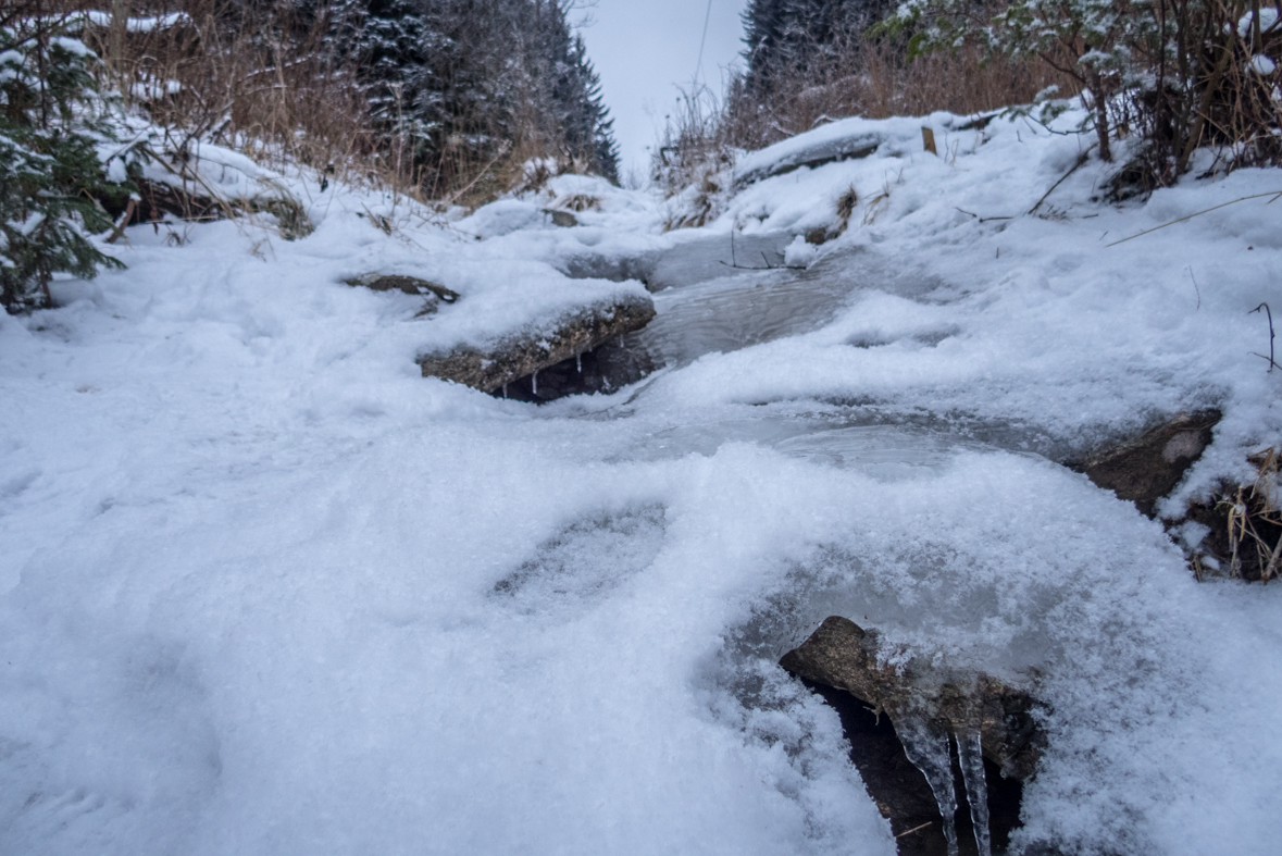 Kráľova hoľa cez Kráľovu skalu (Nízke Tatry)