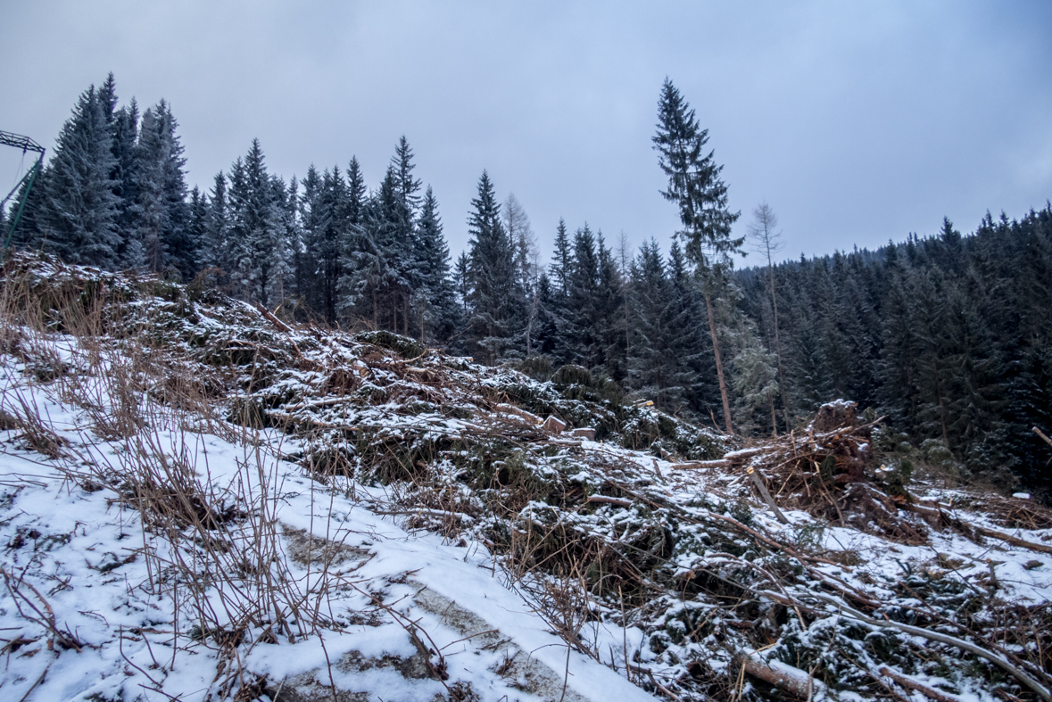 Kráľova hoľa cez Kráľovu skalu (Nízke Tatry)