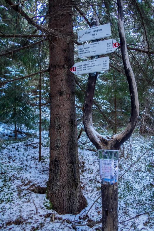 Kráľova hoľa cez Kráľovu skalu (Nízke Tatry)