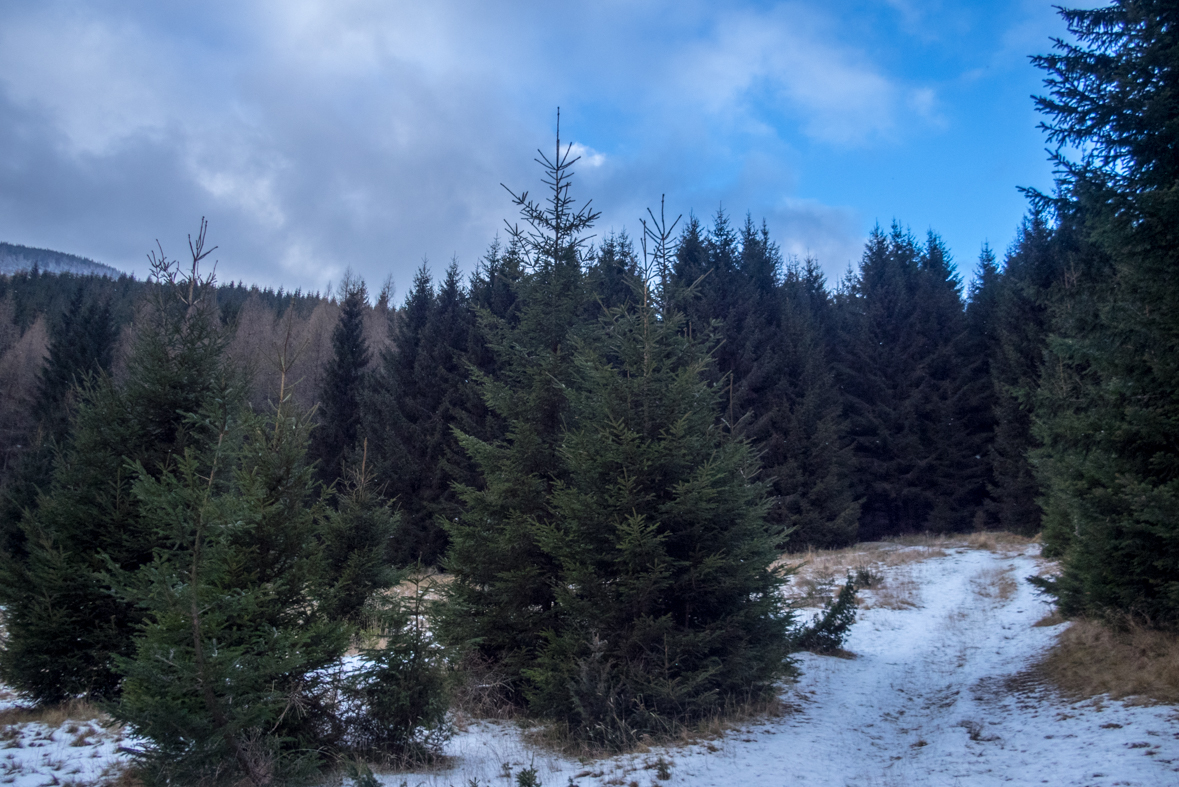 Kráľova hoľa cez Kráľovu skalu (Nízke Tatry)