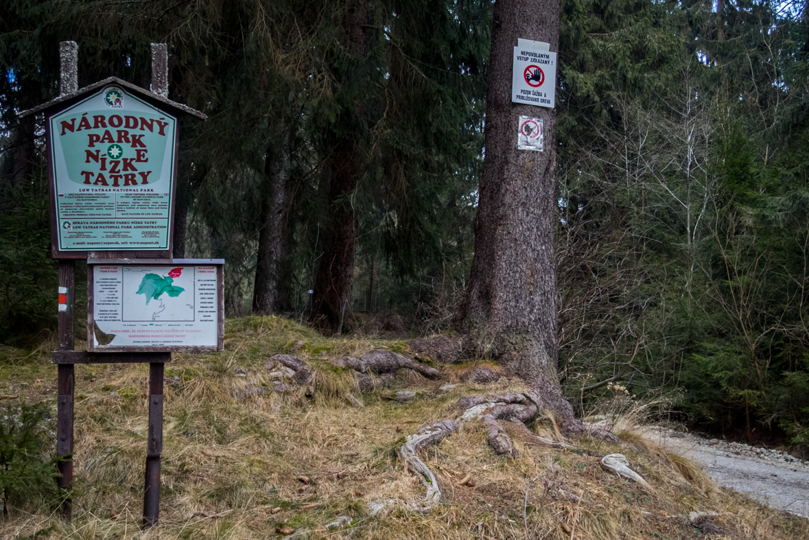 Kráľova hoľa cez Kráľovu skalu (Nízke Tatry)