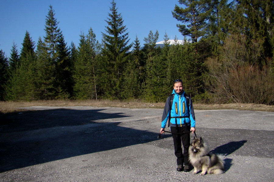 Kráľova hoľa z Pustého poľa (Nízke Tatry)