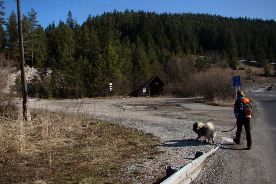 Kráľova hoľa z Pustého poľa (Nízke Tatry)