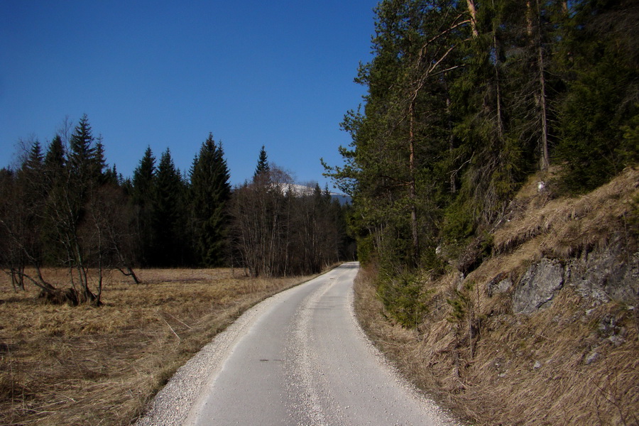 Kráľova hoľa z Pustého poľa (Nízke Tatry)