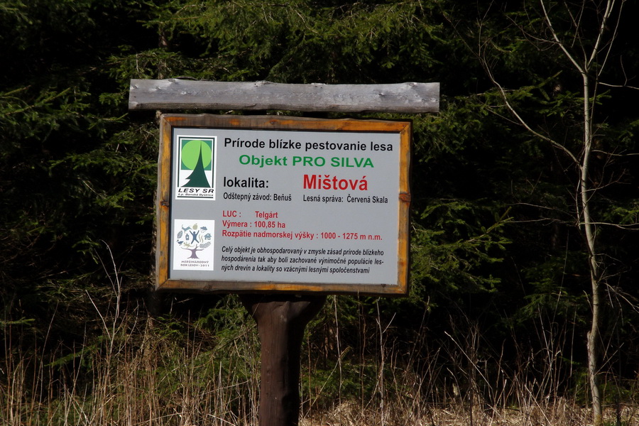 Kráľova hoľa z Pustého poľa (Nízke Tatry)