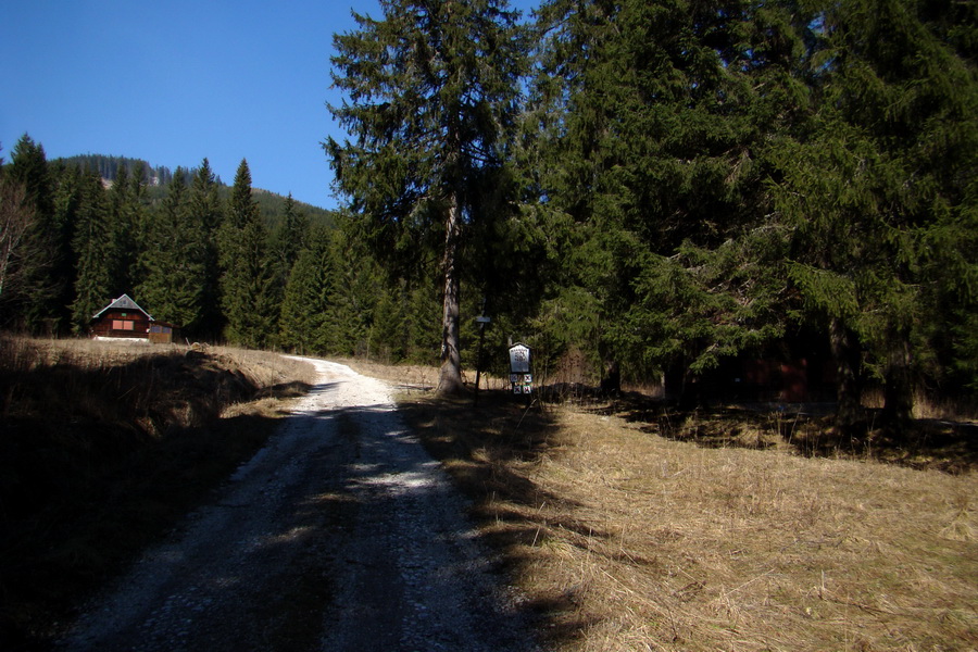 Kráľova hoľa z Pustého poľa (Nízke Tatry)