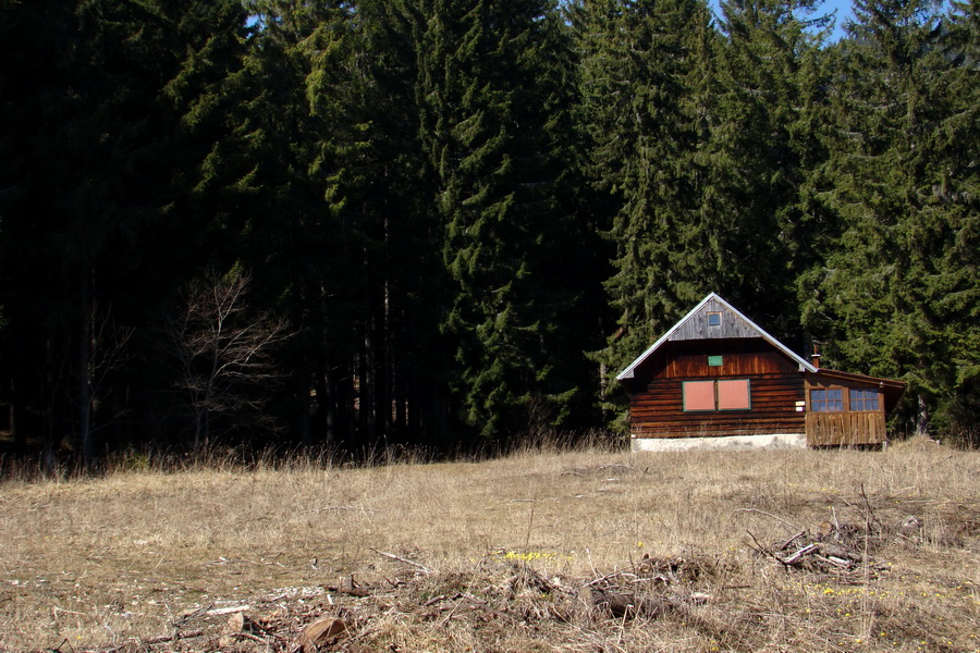 Kráľova hoľa z Pustého poľa (Nízke Tatry)