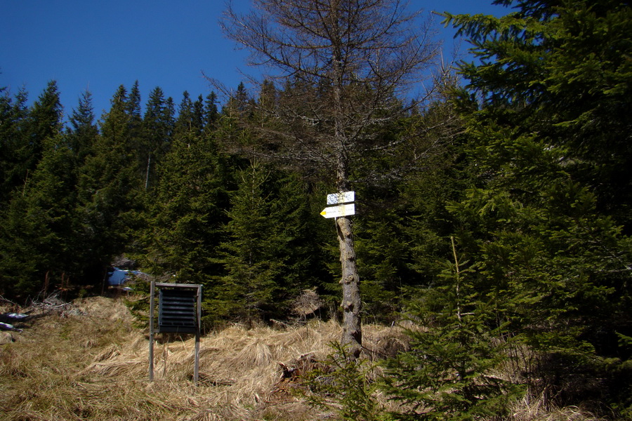 Kráľova hoľa z Pustého poľa (Nízke Tatry)