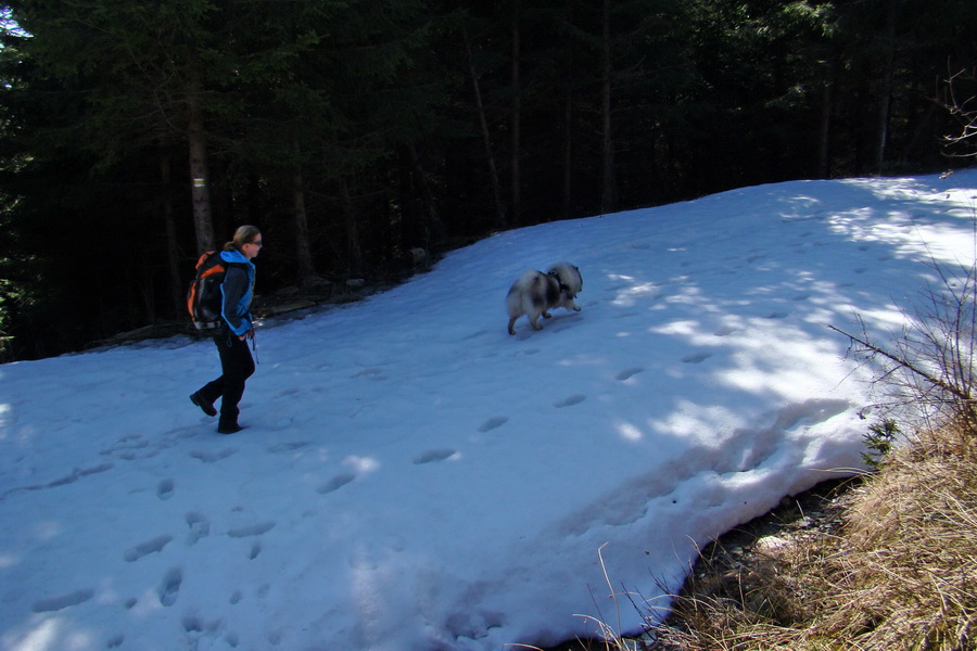 Kráľova hoľa z Pustého poľa (Nízke Tatry)