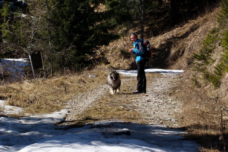 Kráľova hoľa z Pustého poľa (Nízke Tatry)