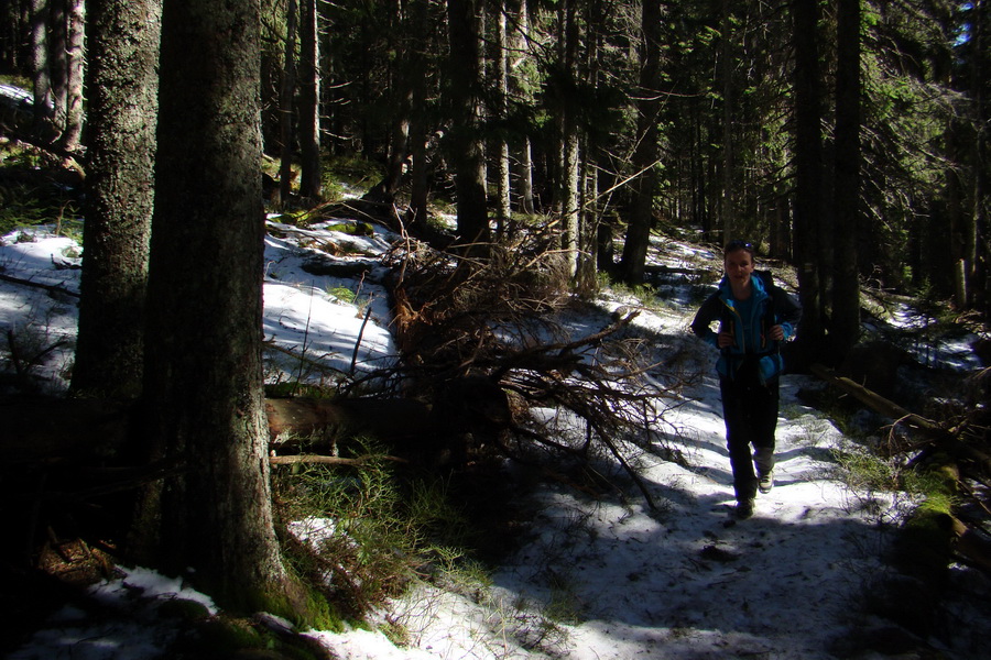 Kráľova hoľa z Pustého poľa (Nízke Tatry)