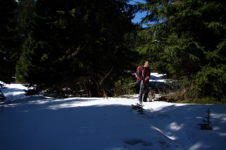 Kráľova hoľa z Pustého poľa (Nízke Tatry)