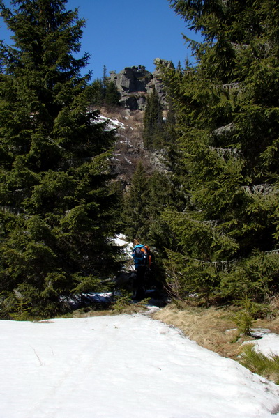 Kráľova hoľa z Pustého poľa (Nízke Tatry)