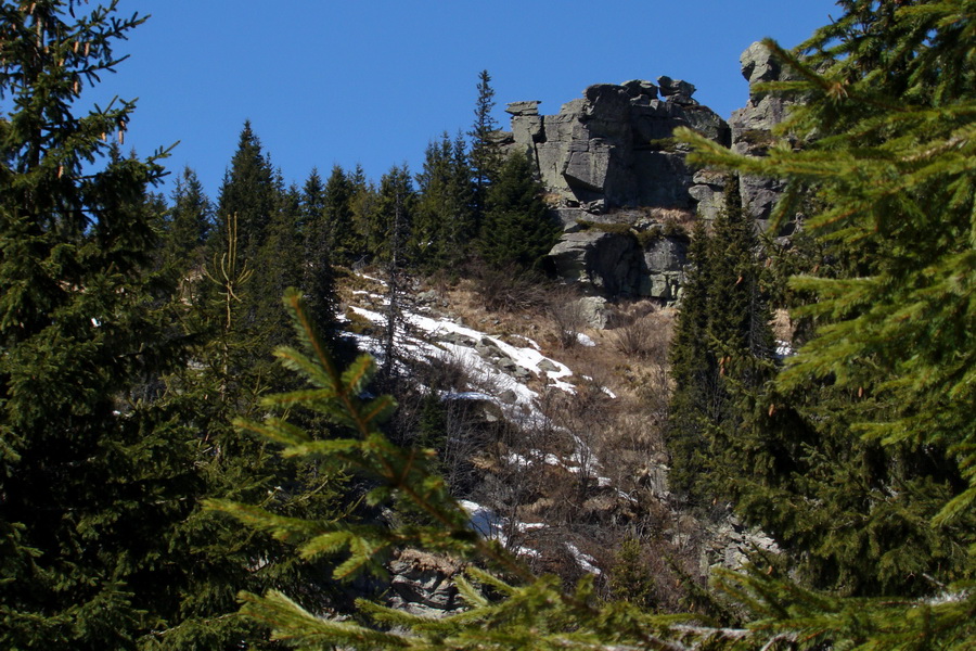 Kráľova hoľa z Pustého poľa (Nízke Tatry)