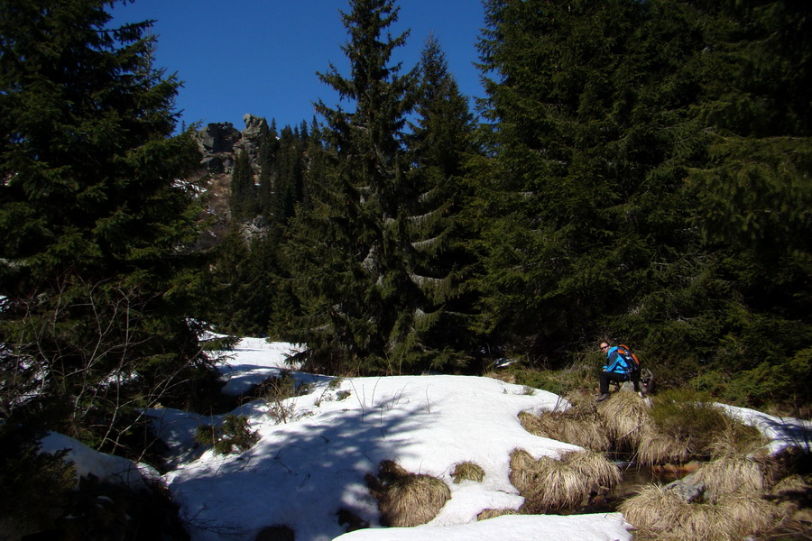 Kráľova hoľa z Pustého poľa (Nízke Tatry)