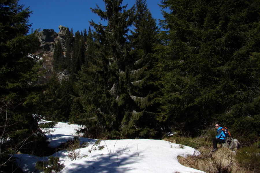 Kráľova hoľa z Pustého poľa (Nízke Tatry)