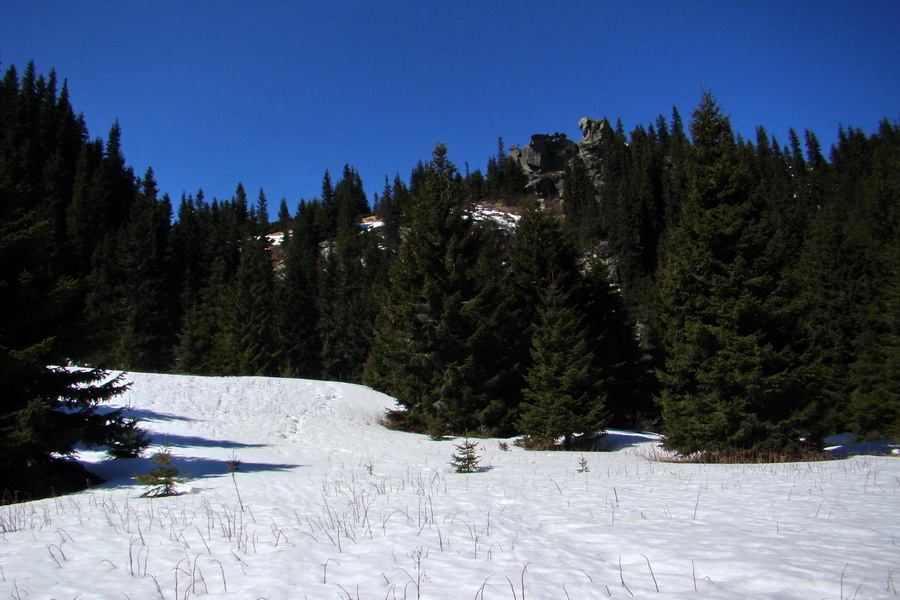 Kráľova hoľa z Pustého poľa (Nízke Tatry)