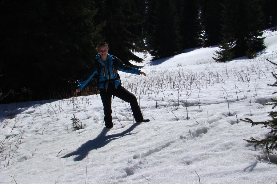 Kráľova hoľa z Pustého poľa (Nízke Tatry)