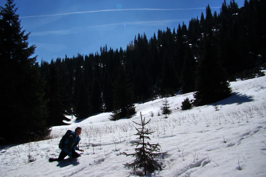 Kráľova hoľa z Pustého poľa (Nízke Tatry)