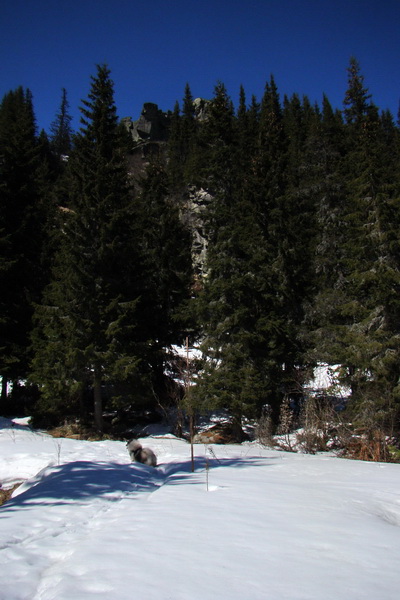 Kráľova hoľa z Pustého poľa (Nízke Tatry)