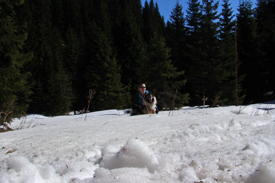 Kráľova hoľa z Pustého poľa (Nízke Tatry)